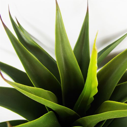 Lifelike 55cm Artificial Yucca Plant - Perfect for Effortless Indoor Decor - plants - express.com