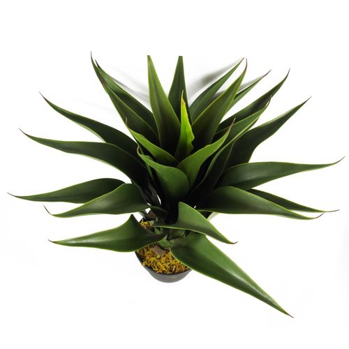 Lifelike 55cm Artificial Yucca Plant - Perfect for Effortless Indoor Decor - plants - express.com