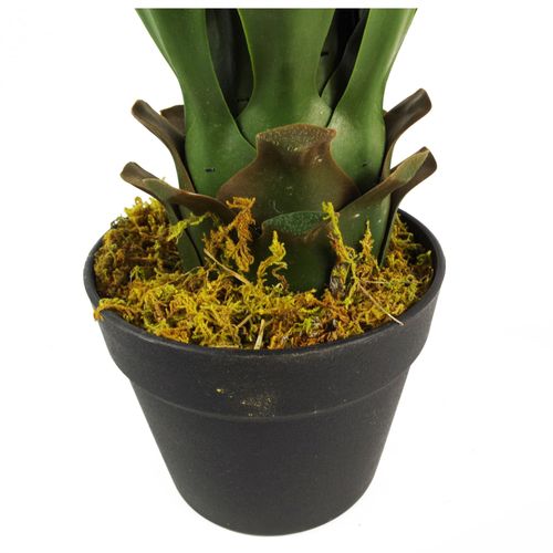 Lifelike 55cm Artificial Yucca Plant - Perfect for Effortless Indoor Decor - plants - express.com
