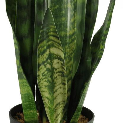 Lifelike 70cm Artificial Sansevieria Zeylanica - Customizable Beauty for Any Space! - plants - express.com
