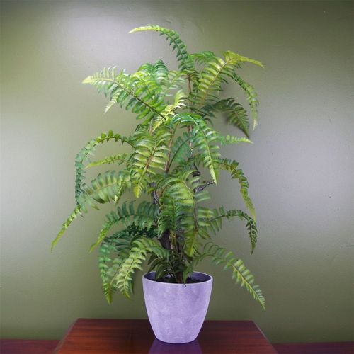 Lifelike 70cm Tree Fern in Stylish Decorative Planter – Effortless Elegance! - plants - express.com