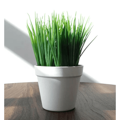 Low - Maintenance 22cm Lifelike Artificial Grass Plant for Any Space - plants - express.com