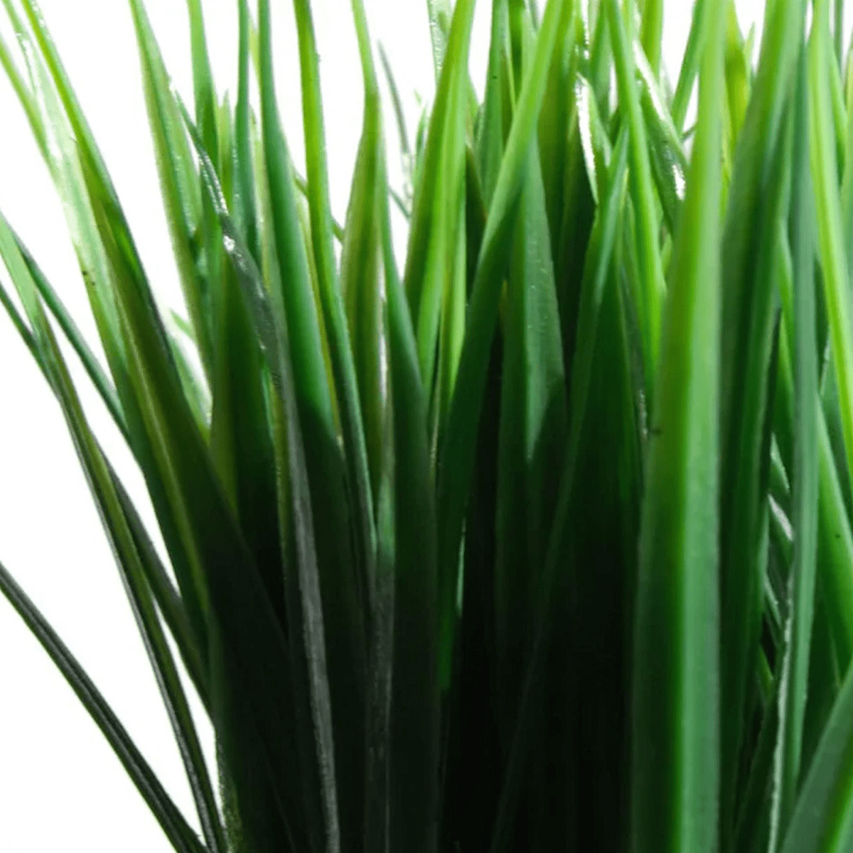 Low - Maintenance 22cm Lifelike Artificial Grass Plant for Any Space - plants - express.com