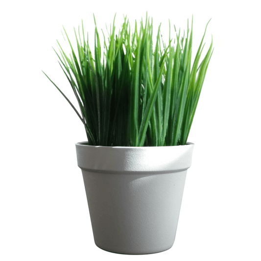 Low - Maintenance 22cm Lifelike Artificial Grass Plant for Any Space - plants - express.com