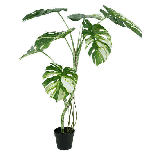 Luxurious 120cm Variegated Monstera Faux Tree – Chic Tropical Elegance! - plants - express.com
