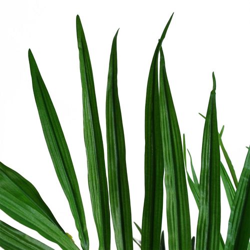 Luxurious 130cm Kentia Palm Tree - Realistic Silk Leaves & Customizable Branches - plants - express.com