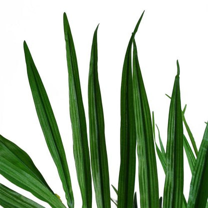 Luxurious 130cm Kentia Palm Tree - Realistic Silk Leaves & Customizable Branches - plants - express.com