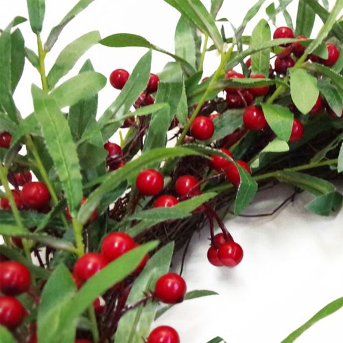 Luxurious 24" Mistletoe & Red Berry Christmas Wreath - Festive Elegance - plants - express.com