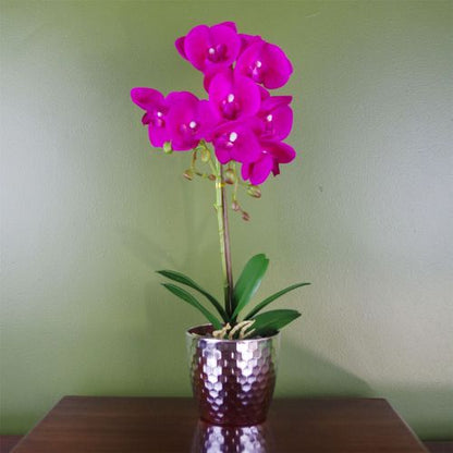 Luxurious 50cm Dark Pink Phalaenopsis Orchid with Silver Decorative Pot - plants - express.com
