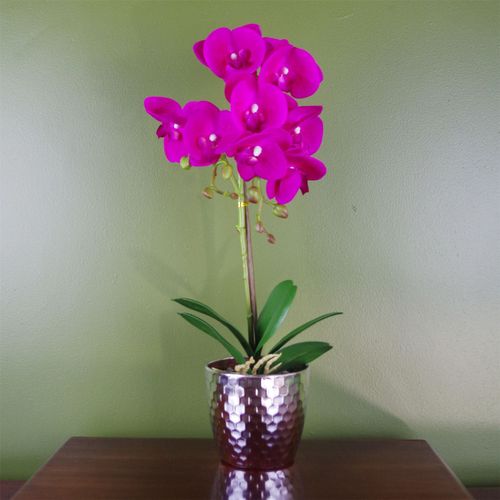 Luxurious 50cm Dark Pink Phalaenopsis Orchid with Silver Decorative Pot - plants - express.com