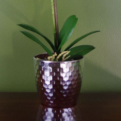 Luxurious 50cm Light Pink Artificial Phalaenopsis Orchid in Silver Pot - plants - express.com