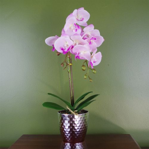 Luxurious 50cm Light Pink Artificial Phalaenopsis Orchid in Silver Pot - plants - express.com