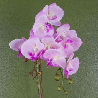 Luxurious 50cm Light Pink Artificial Phalaenopsis Orchid in Silver Pot - plants - express.com