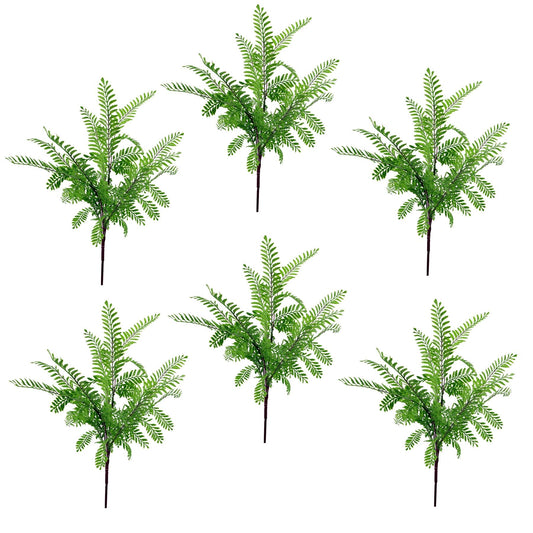 Luxurious 6 - Pack of 55cm Himalayan Maidenhair Ferns – No Maintenance Greenery! - plants - express.com