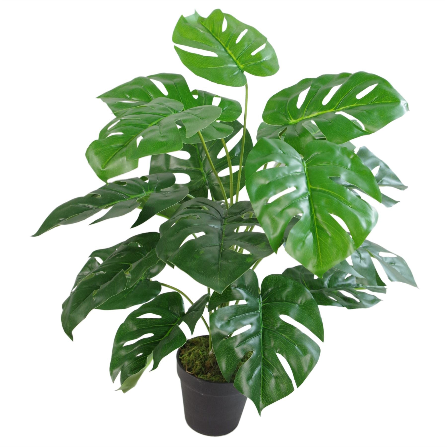 Luxurious 60cm Faux Monstera with Elegant Brass Planter - Ultimate Greenery Bundle - plants - express.com
