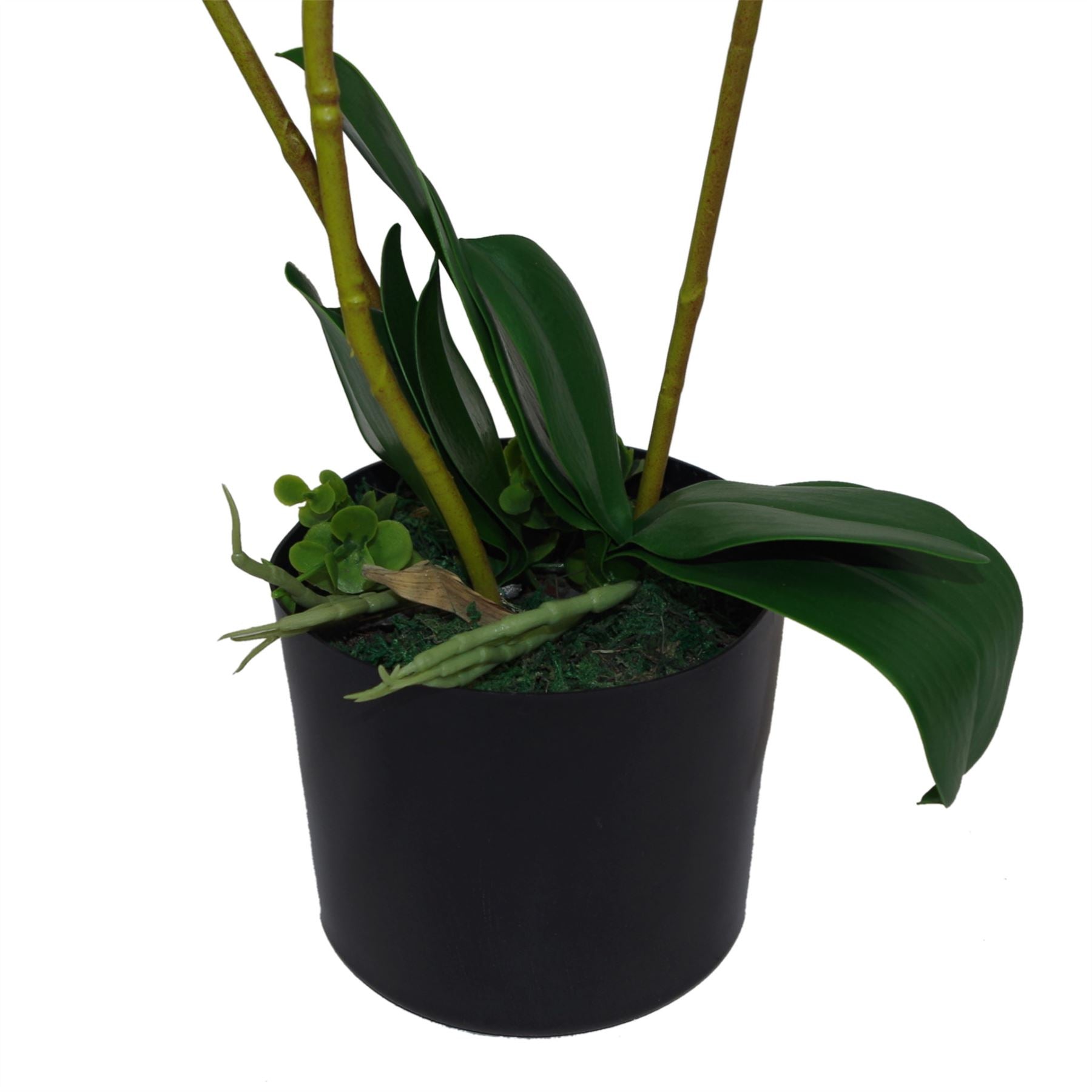 Luxurious 65cm White Potted Artificial Orchid - Stunning 3 Stem Arrangement - plants - express.com
