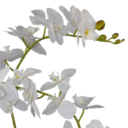 Luxurious 65cm White Potted Artificial Orchid - Stunning 3 Stem Arrangement - plants - express.com