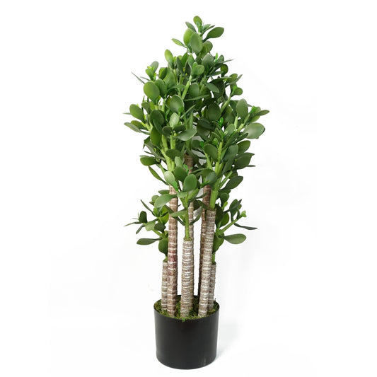 Luxurious 75cm Artificial Green Jade Plant – Stunning Home Decor Accent - plants - express.com