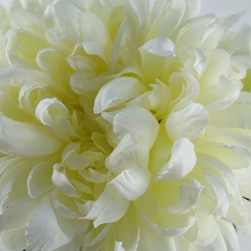 Luxurious 75cm White Silk Reflex Chrysanthemum - Perfect for Stunning Arrangements! - plants - express.com
