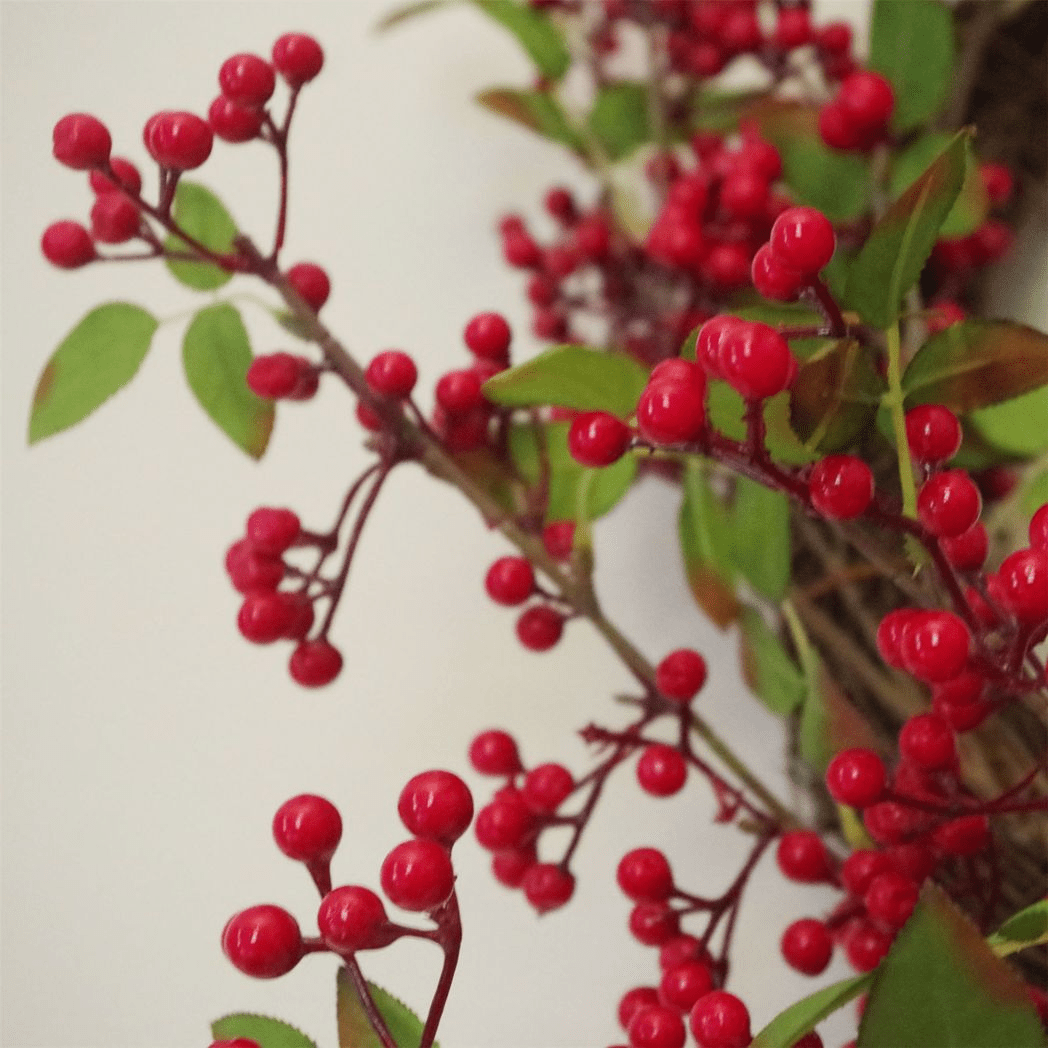 Luxury 24" Red Berry Christmas Wreath - Festive Elegance for Your Door - plants - express.com