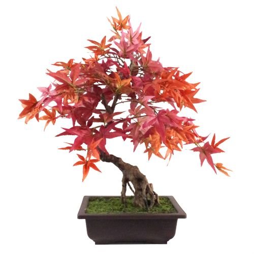 Luxury 50cm Artificial Red Maple Bonsai Tree – Maintenance - Free Elegance - plants - express.com