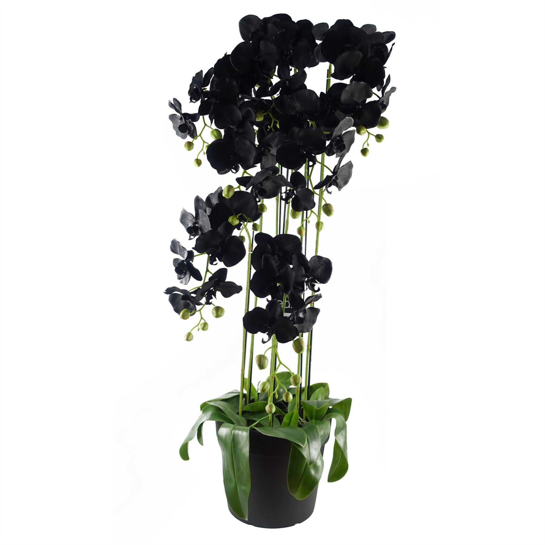 Majestic 110cm Black Orchid - 41 Real Touch Flowers for Unmatched Beauty - plants - express.com