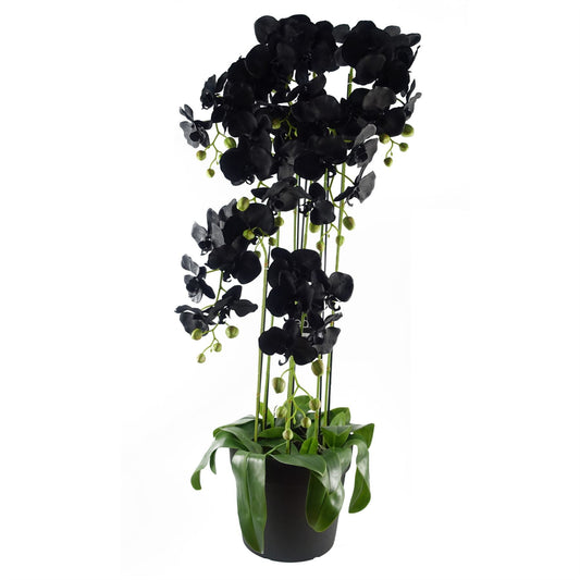 Majestic 110cm Black Orchid - 41 Real Touch Flowers for Unmatched Beauty - plants - express.com