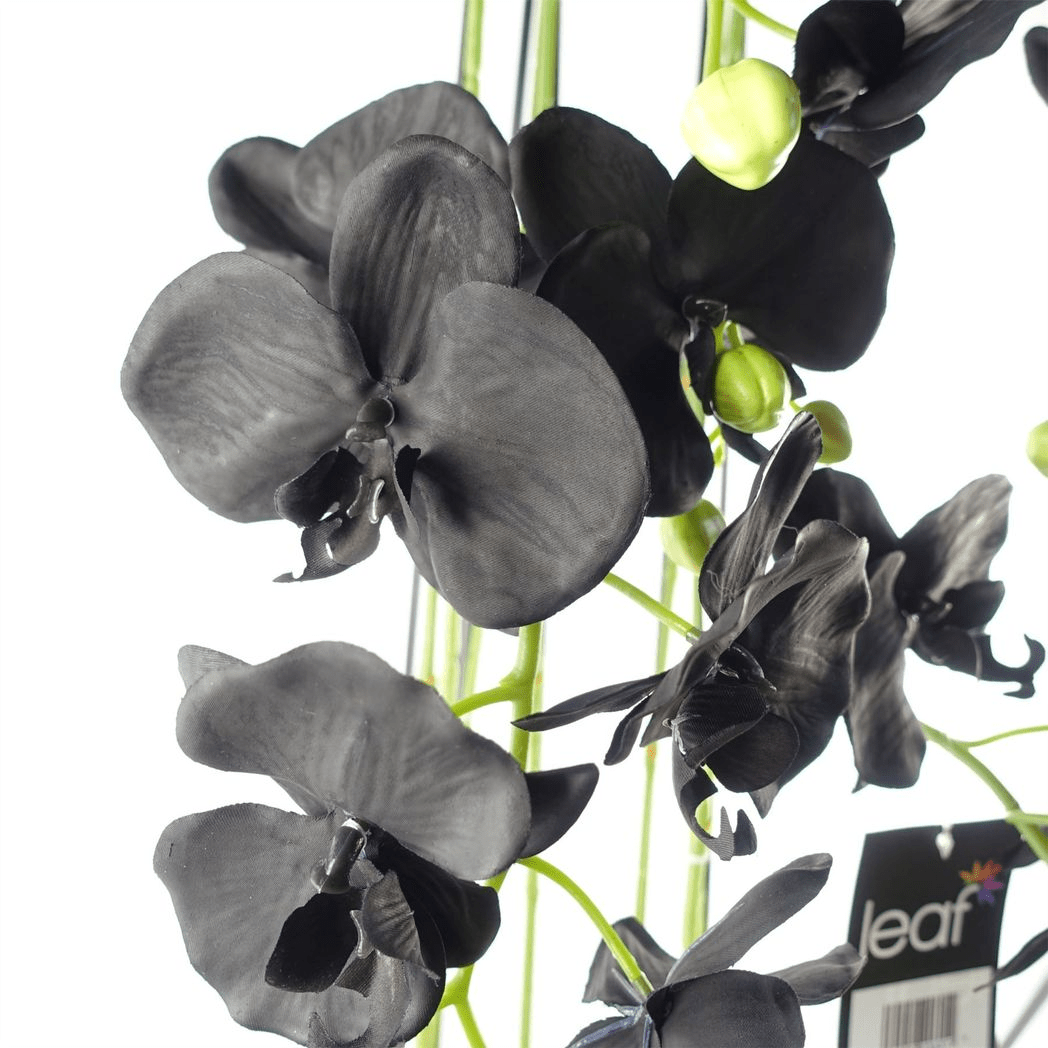 Majestic 110cm Black Orchid - 41 Real Touch Flowers for Unmatched Beauty - plants - express.com