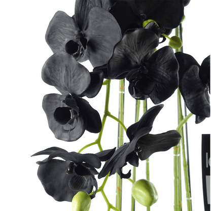 Majestic 110cm Black Orchid - 41 Real Touch Flowers for Unmatched Beauty - plants - express.com