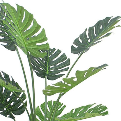Majestic 120cm Monstera Plant in Sleek Black Pot - Effortless Elegance! - plants - express.com