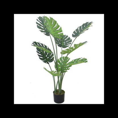 Majestic 120cm Monstera Plant in Sleek Black Pot - Effortless Elegance! - plants - express.com