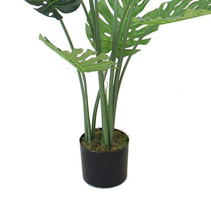 Majestic 120cm Monstera Plant in Sleek Black Pot - Effortless Elegance! - plants - express.com