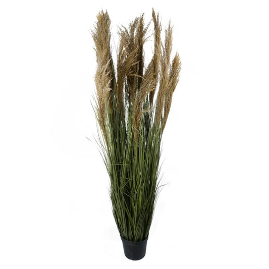 Majestic 180cm Realistic Pampas Grass – Transform Your Space Effortlessly! - plants - express.com