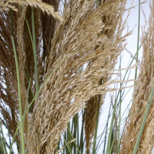 Majestic 180cm Realistic Pampas Grass – Transform Your Space Effortlessly! - plants - express.com