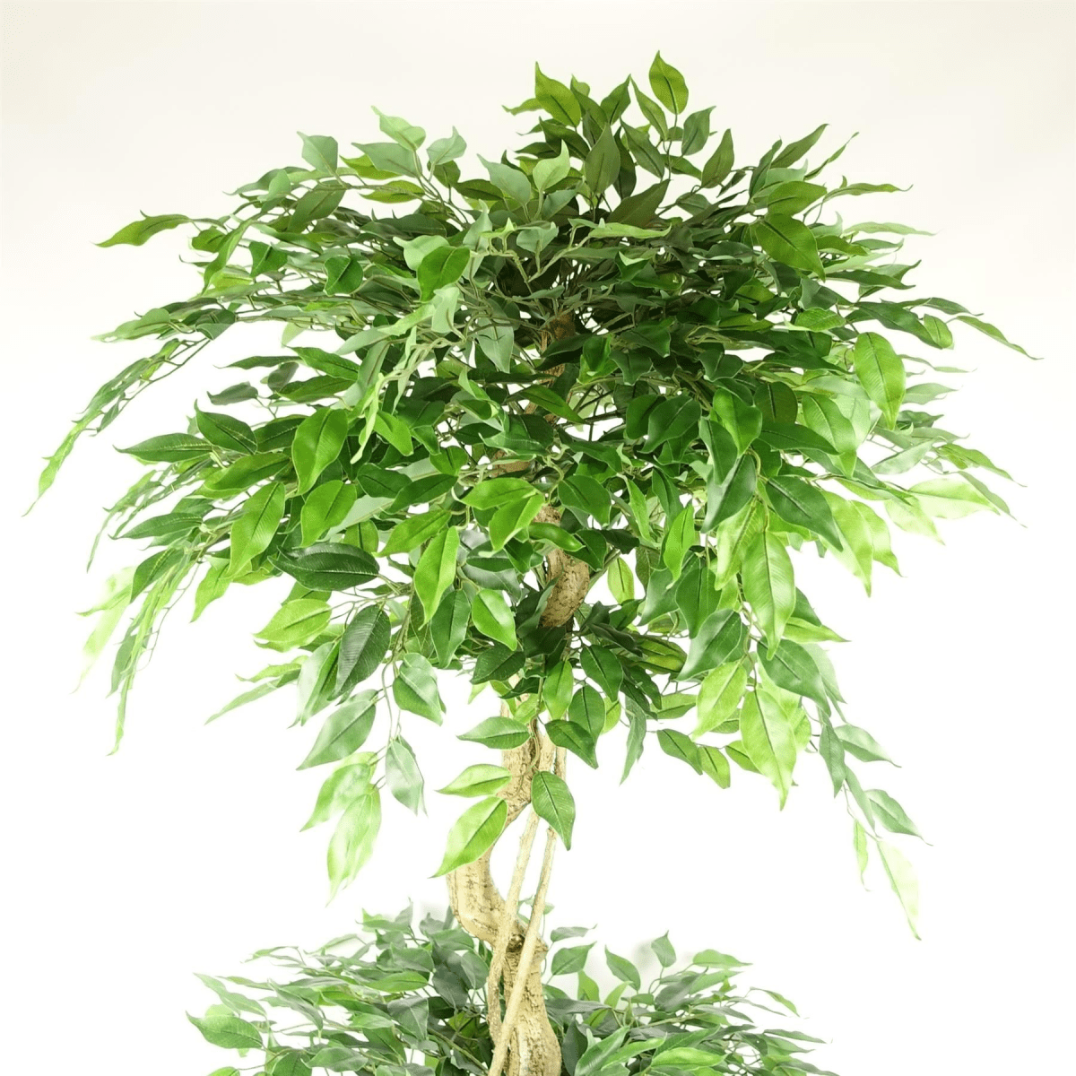 Majestic 180cm Triple Ball Topiary Ficus Tree with Stylish Copper Planter - plants - express.com