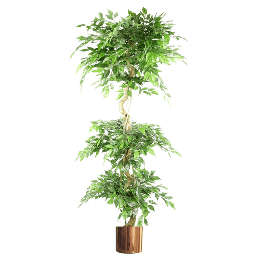 Majestic 180cm Triple Ball Topiary Ficus Tree with Stylish Copper Planter - plants - express.com