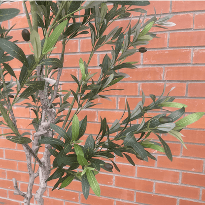 Majestic 200cm XXL Faux Olive Tree with Elegant Planter - Perfect Statement Decor! - plants - express.com