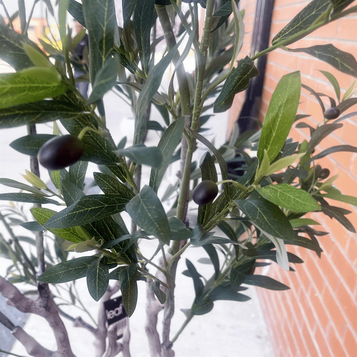 Majestic 200cm XXL Faux Olive Tree with Elegant Planter - Perfect Statement Decor! - plants - express.com