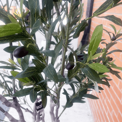 Majestic 200cm XXL Faux Olive Tree with Elegant Planter - Perfect Statement Decor! - plants - express.com