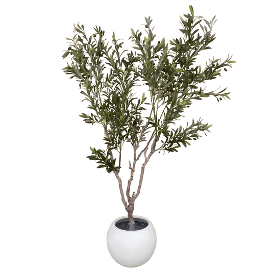 Majestic 200cm XXL Faux Olive Tree with Elegant Planter - Perfect Statement Decor! - plants - express.com