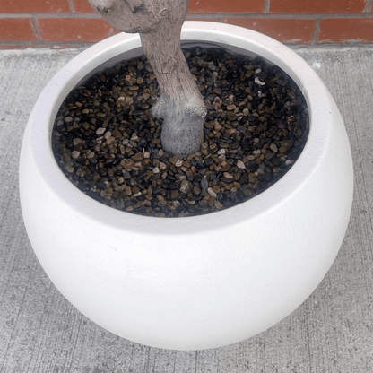 Majestic 200cm XXL Faux Olive Tree with Elegant Planter - Perfect Statement Decor! - plants - express.com