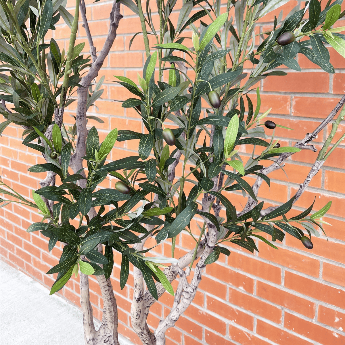 Majestic 250cm XXL Artificial Olive Tree with Elegant Decorative Planter - plants - express.com