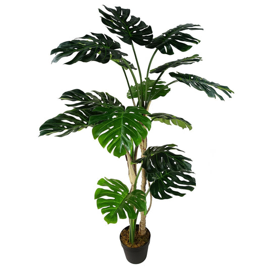 Majestic 5ft Faux Monstera Cheese Plant in Sleek Black Pot – Perfect Décor! - plants - express.com