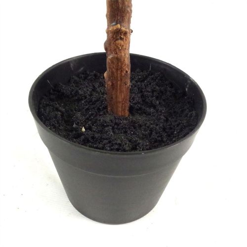 Majestic 60cm Fiddle Fig Plant – Lifelike Elegance for Any Space! - plants - express.com