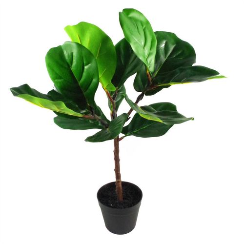 Majestic 60cm Fiddle Fig Plant – Lifelike Elegance for Any Space! - plants - express.com