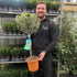 2 x 3L Pot. 90cm Including Growers Pot (Image 2&3)