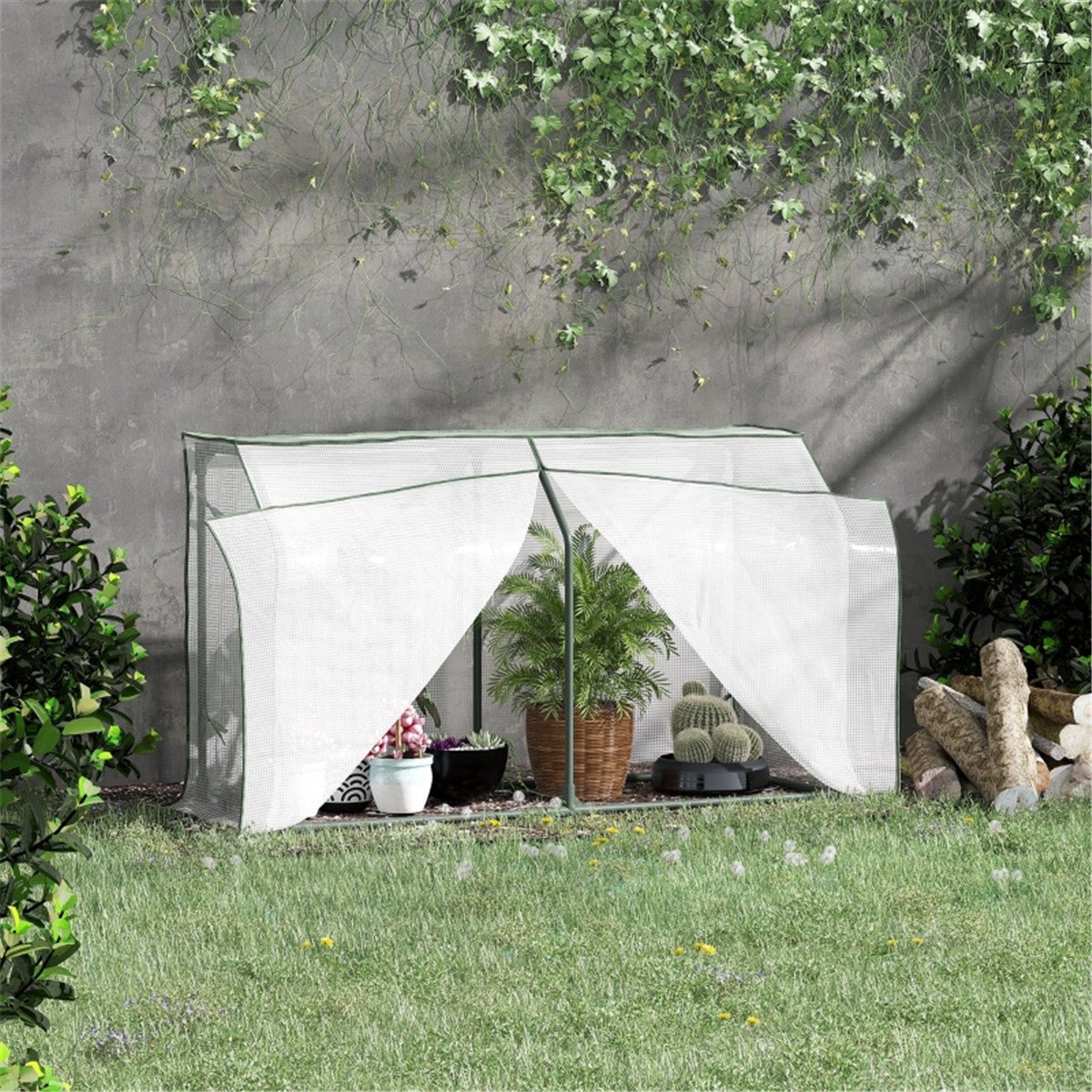 Mini Greenhouse - plants - express.com