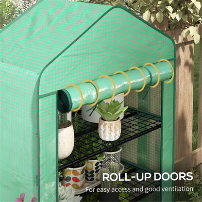 Mini Greenhouse - plants - express.com