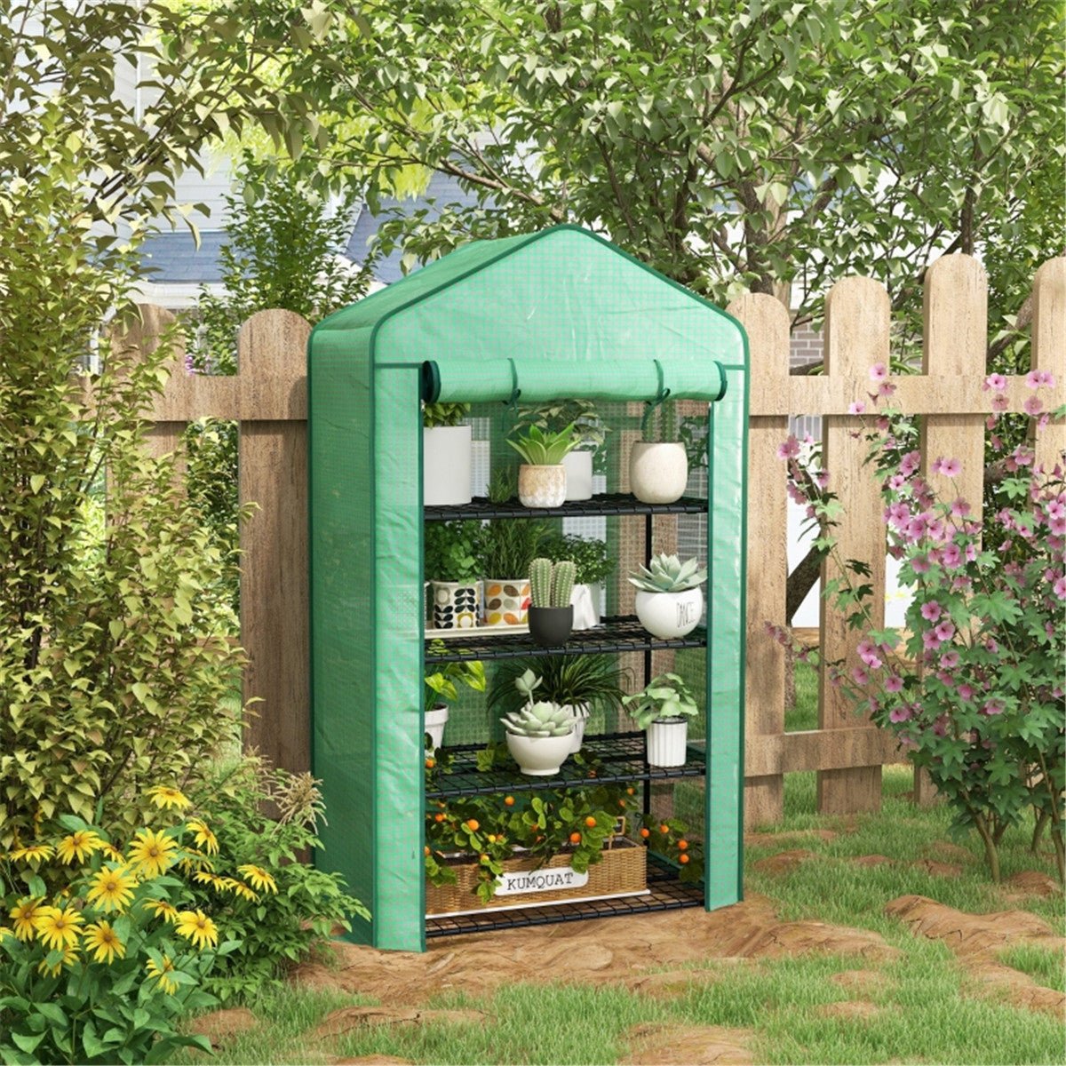 Mini Greenhouse - plants - express.com