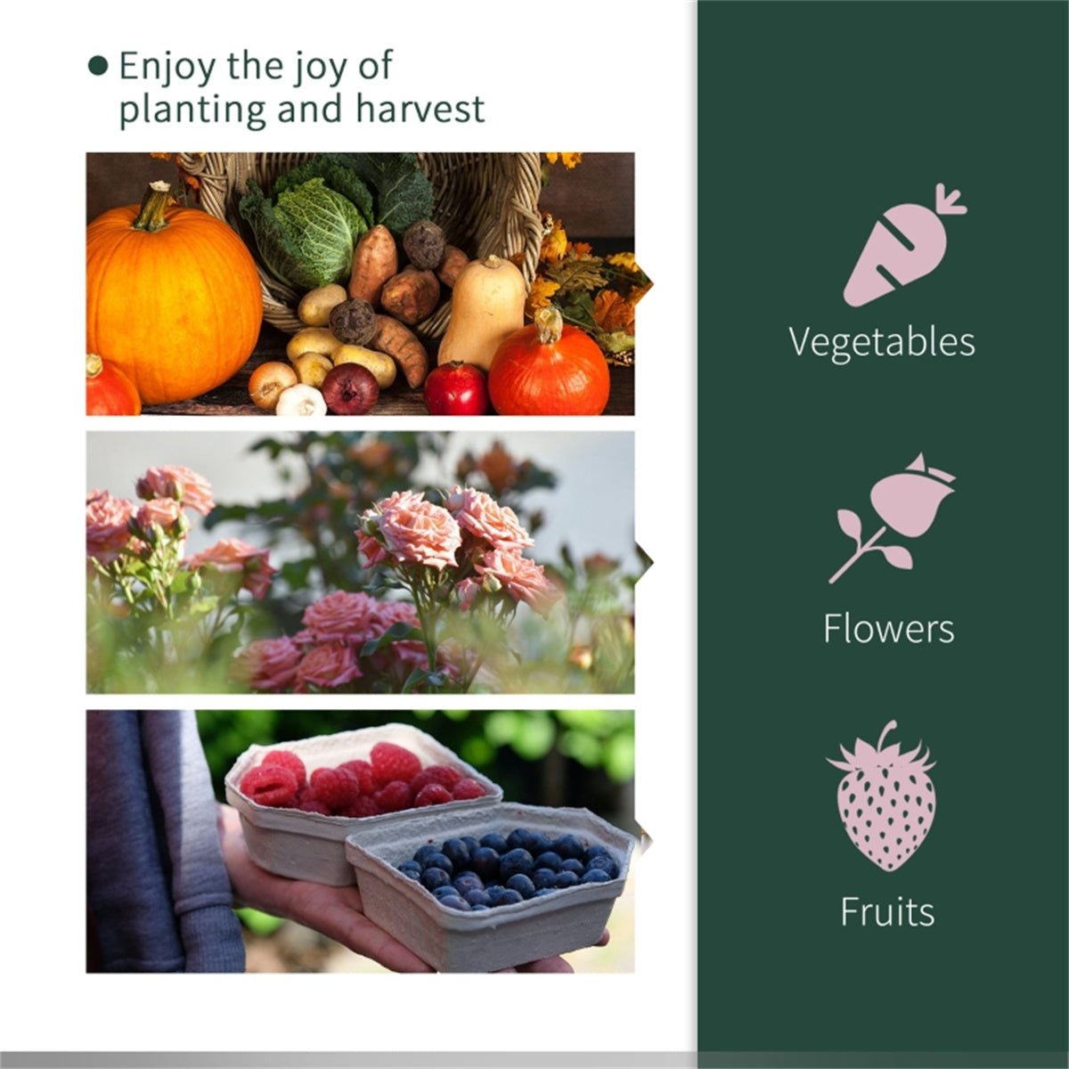Mini Walk - in Greenhouse - plants - express.com